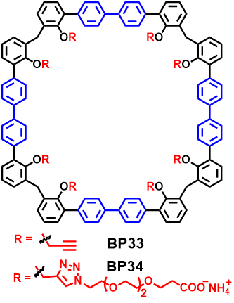 BP33-34